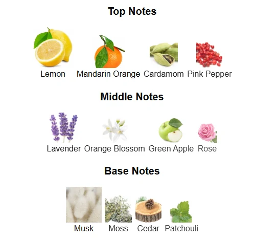 Afnan 9AM scent profile 1