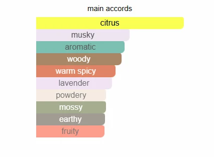 Afnan 9AM scent profile 2