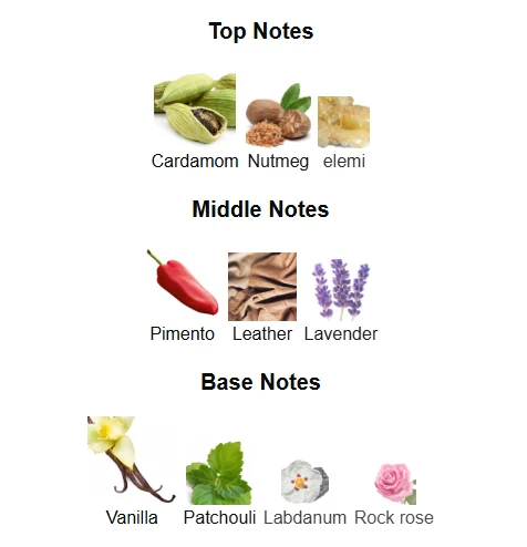 Afnan 9PM Elixir scent profile 1