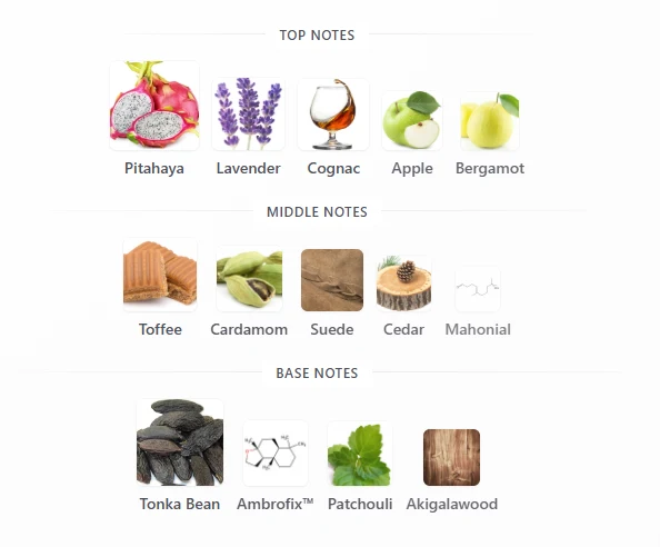 Afnan 9pm Night Out scent profile 1