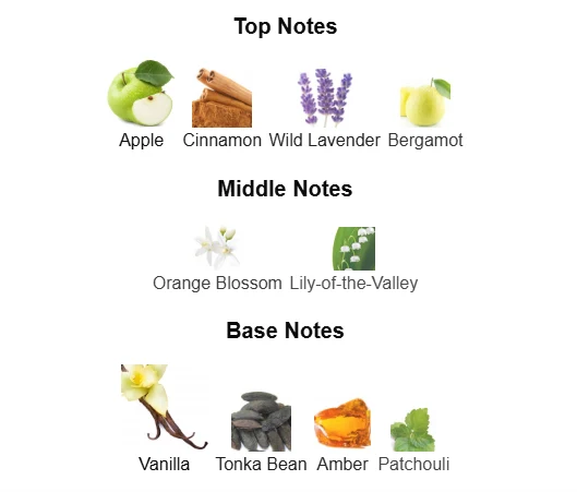 Afnan 9PM scent profile 1