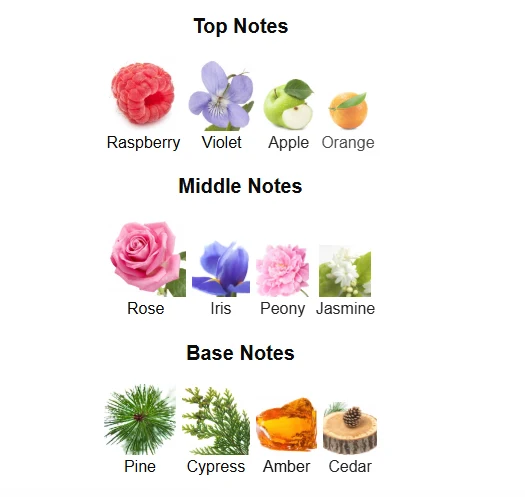 Afnan 9PM Pour Femme scent profile 1