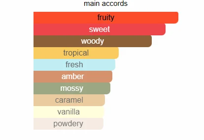 Afnan 9PM Rebel scent profile 2