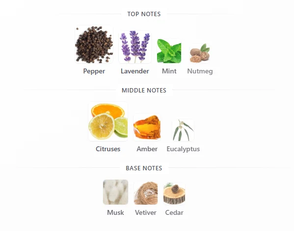 Afnan Modest Une scent profile 1