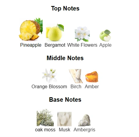 Afnan Supremacy Collector Edition scent profile 1