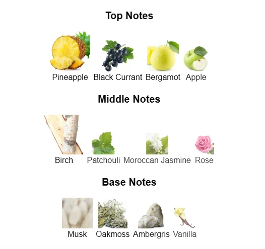 Afnan Supremacy In Silver scent profile 1