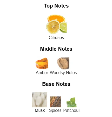 Afnan Turathi Blue scent profile 1