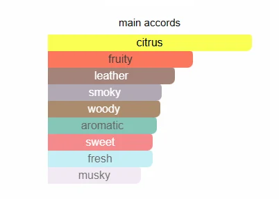 Armaf Club De Nuit Intense scent profile 2