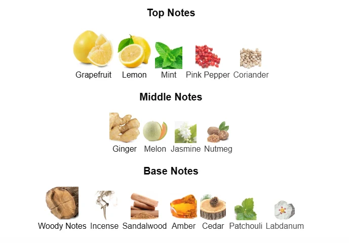 Armaf Iconic scent profile 1
