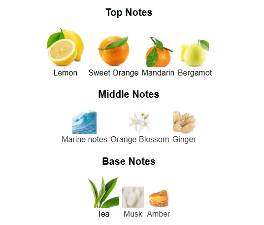 Armaf Odyssey Limoni Fresh scent profile 1