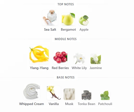 Armaf Precieux IV scent profile 1