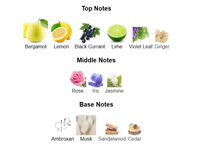 Armaf Sillage scent profile 1