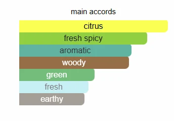 Armaf Tag Him scent profile 2