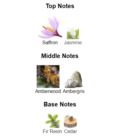 Armaf Untold scent profile 1