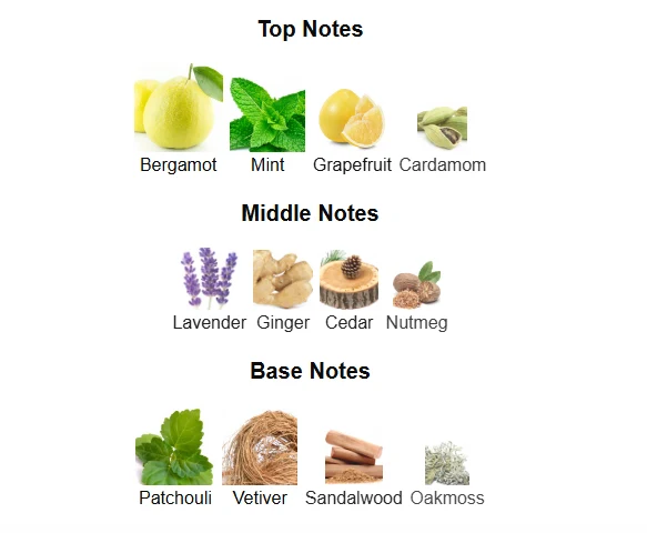 Armaf Urban Man scent profile 1