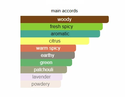 Armaf Urban Man scent profile 2