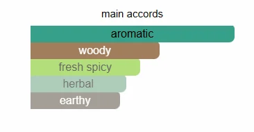 Azzaro Wanted scent profile 2