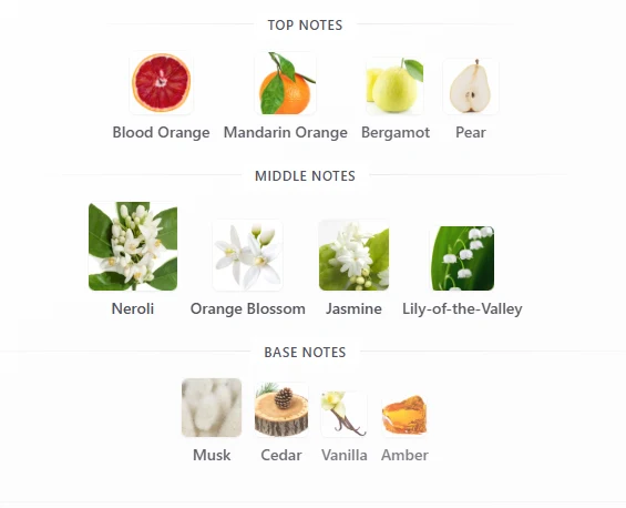 Benetton Blue Neroli scent profile 1