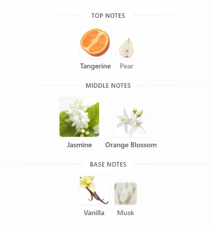 Benetton Green Jasmine scent profile 1