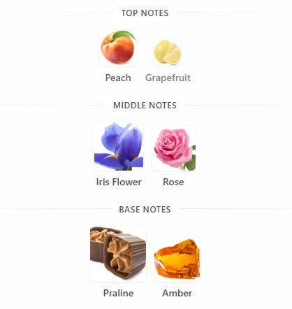 Benetton Red Rose scent profile 1