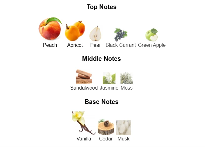 Burberry Women scent profile 1