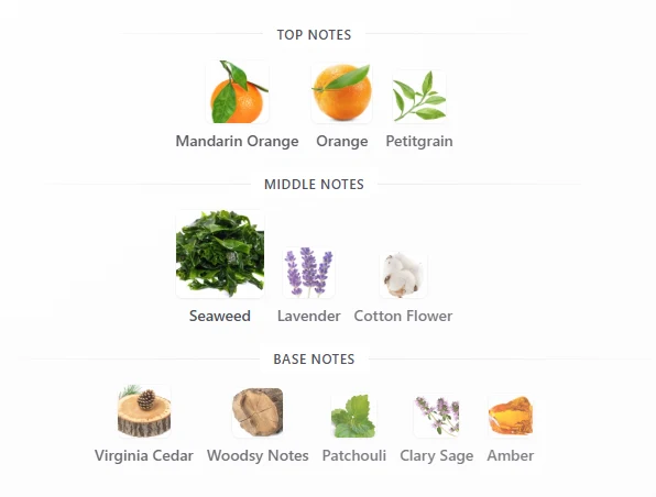 Bvlgari Aqva scent profile 1