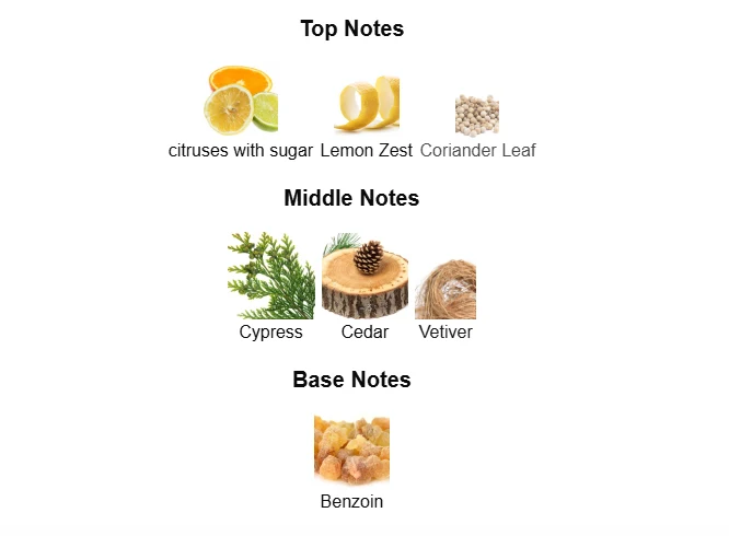 Bvlgari Man Wood Essence scent profile 1