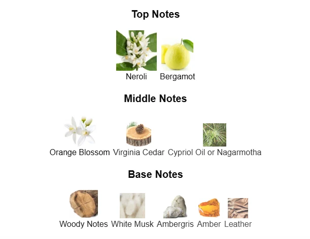 Bvlgari Man Wood Neroli scent profile 1