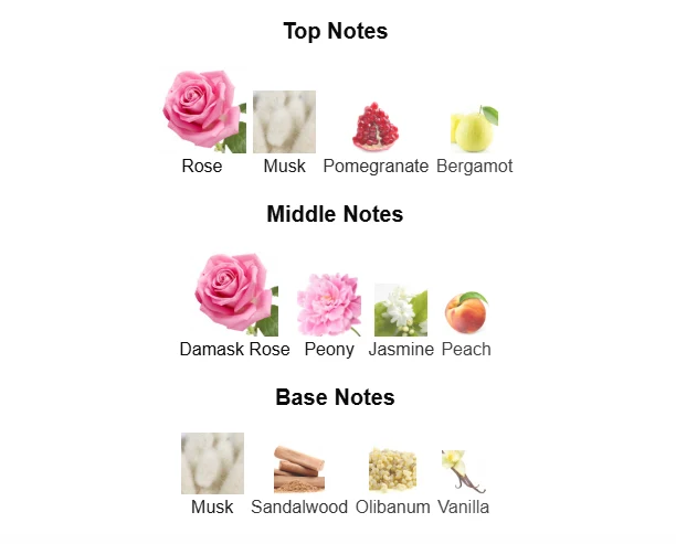 Bvlgari Rose Goldea scent profile 1