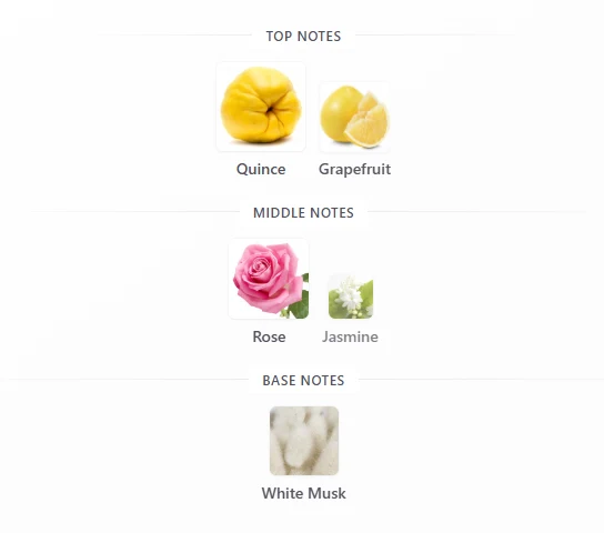 Chanel Chance Eau Tender scent profile 1