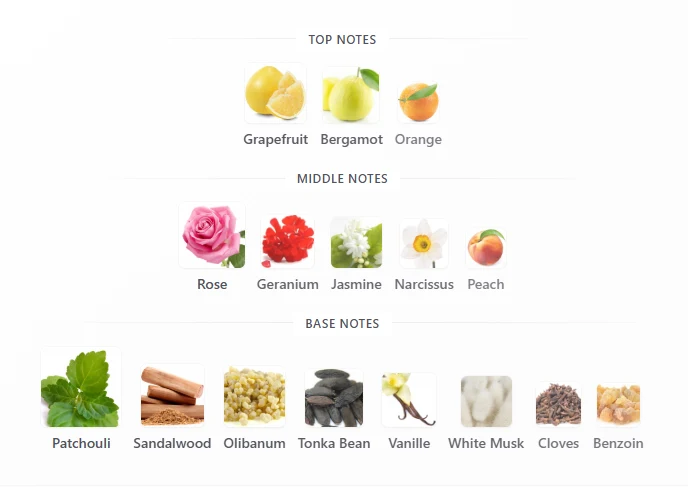 Chanel Coco Noir scent profile 1