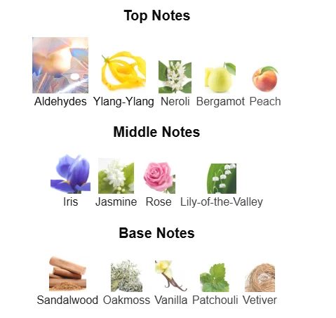Chanel N'5 scent profile 1