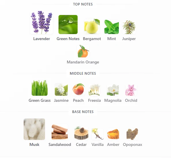 Ck Be scent profile 1