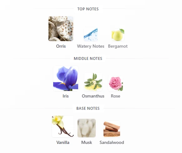 CK Eternity Intense scent profile 1
