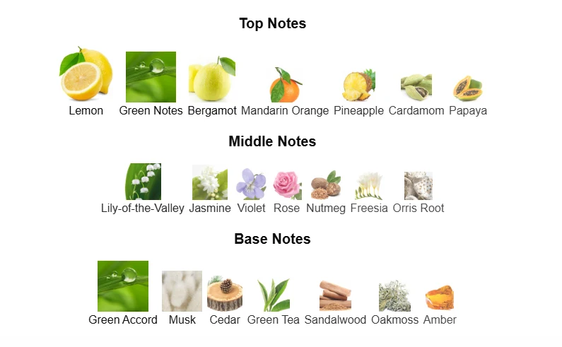 Ck One scent profile 1