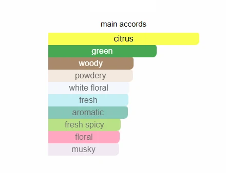 Ck One scent profile 2