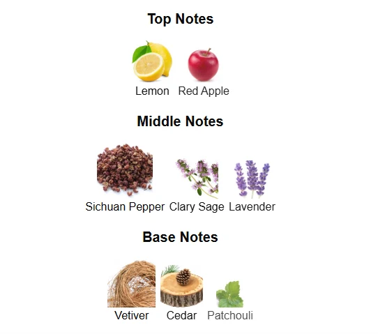 Coach Open Road scent profile 1