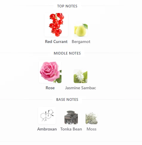 Coach Wild Rose scent profile 1