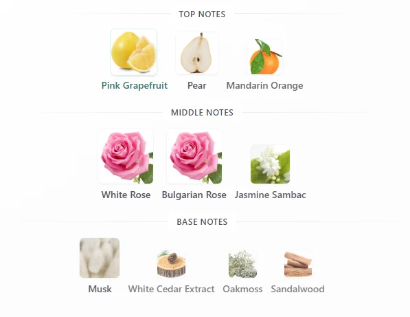 Coach Women scent profile 1