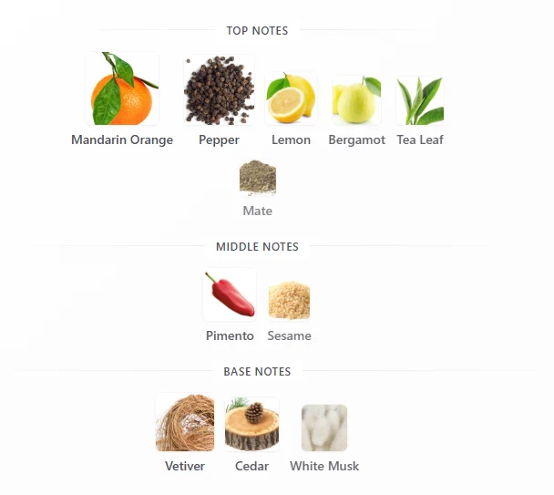 Davidoff Adventure scent profile 1