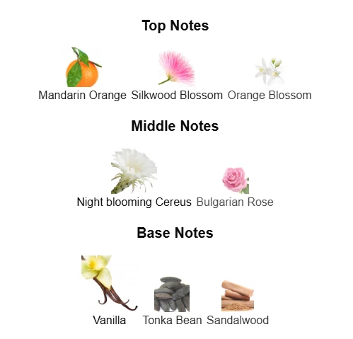 Dior Addict EDP scent profile 1
