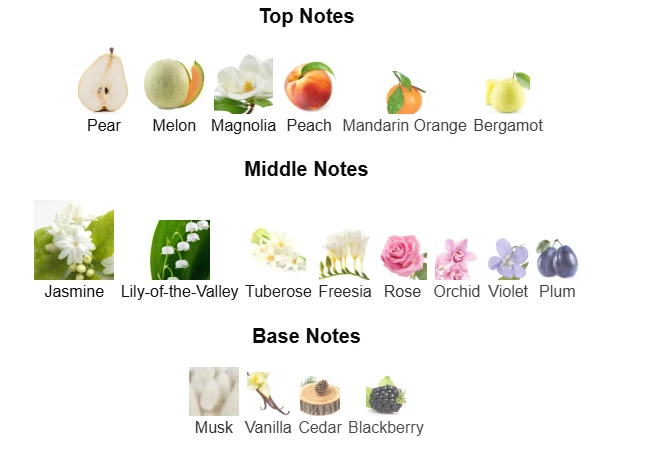 Dior Jadore EDP scent profile 1