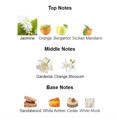 Dior Pure Poison EDP scent profile 1