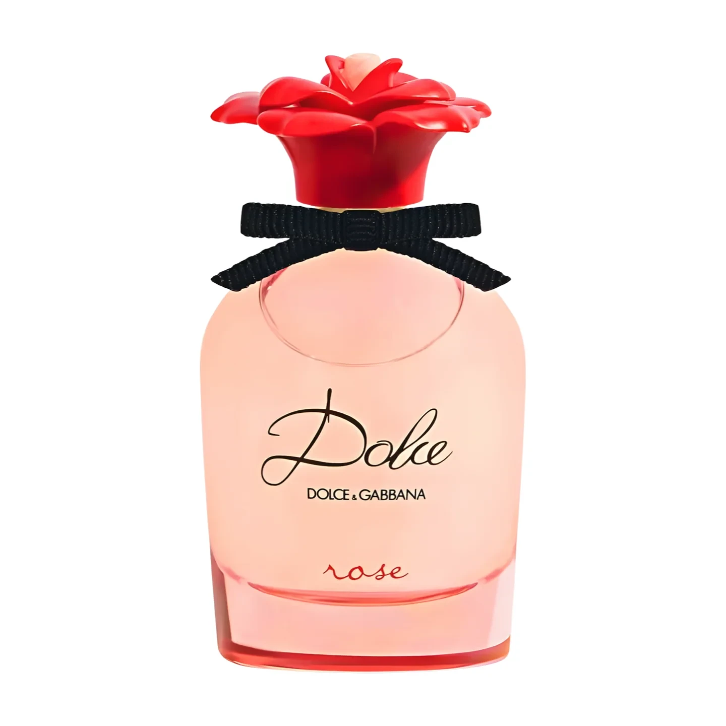 Dolce & Gabbana Rose