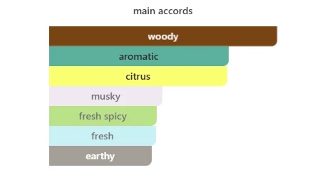 Dsquared2 2Wood scent profile 2