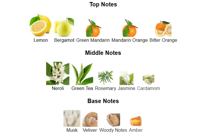 Dunhill Amalfi Citrus Alfred scent profile 1