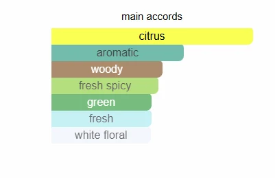 Dunhill Amalfi Citrus Alfred scent profile 2