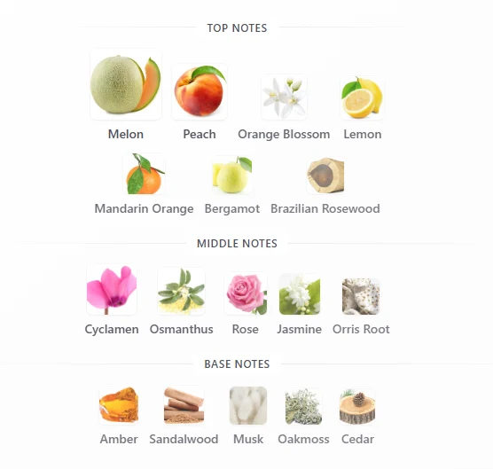Elizabeth Arden Sunflower scent profile 1