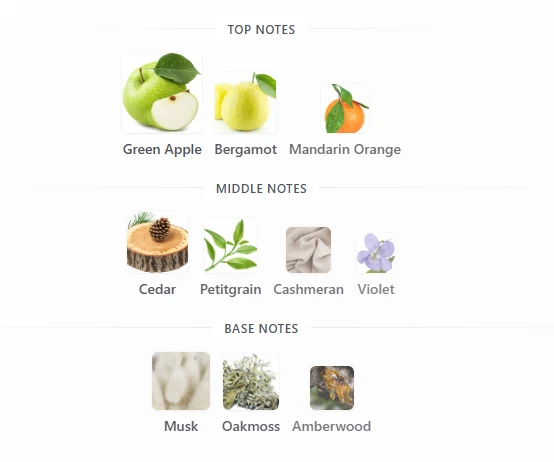French Avenue Aether scent profile 1