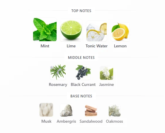 French Avenue Platine Blanc scent profile 1